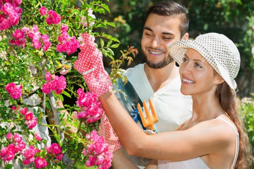 Experienced lawn care team at work