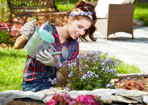 Professional lawn mowing service in Fitzrovia