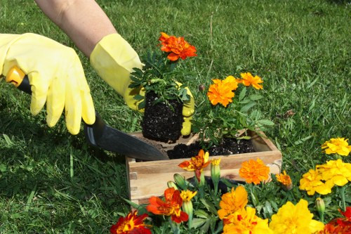 Professional lawn service team working in a Fitzrovia garden.