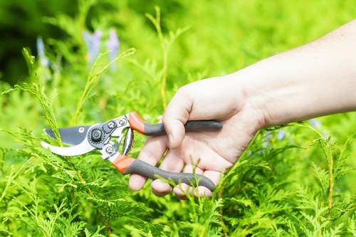 Essential hedge trimming tools arranged neatly