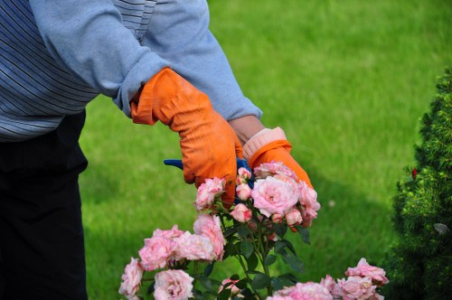 Arborist assessing tree health