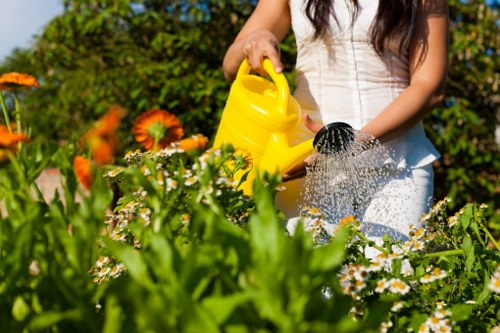 Professional gardener clearing overgrown plants