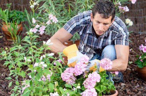 Sustainable gardening practices in Fitzrovia