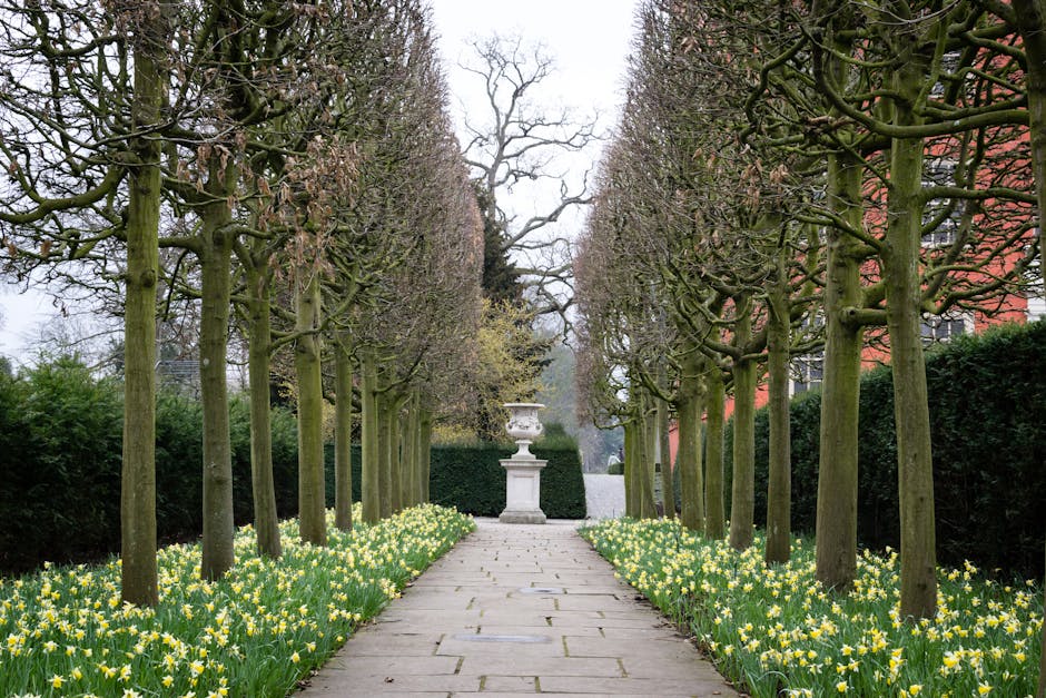 A peaceful garden scene featuring a neatly trimmed lawn bordered by paved walkways and lush green plants, including potted ferns and small shrubs, with a decorative stone statue of a young girl sittin